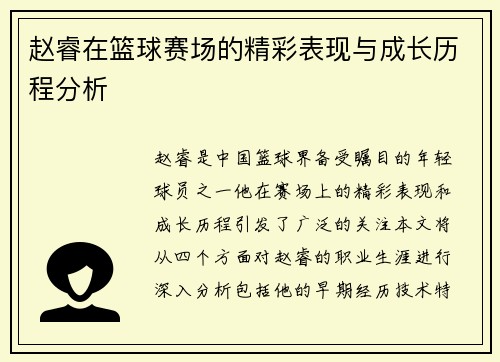赵睿在篮球赛场的精彩表现与成长历程分析